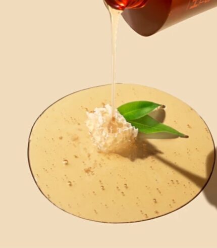 Daeng Gi Meo Ri Professional Honey Therapy PLUS Shampoo