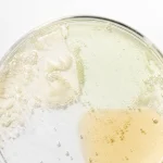 Beauty of Joseon - Hanbang Serum Discovery Kit - Set of 4 Serums in Miniature Version - 4x10ml