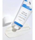 Round Lab - Birch Juice Moisturizing Sun Cream SPF50+ PA++++