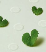 Purito Seoul - Wonder Releaf Centella Spot Patch