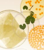 Heveblue - Salmon Caring Centella Green Mask Pack